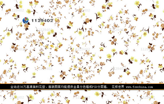 �黨���� ���bӡ�� Ů�b�D�� �������d