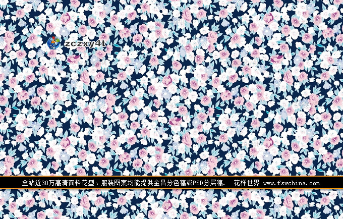 ���� �͹Ż��� miu miu �＾���b���� ӡ���D�� ���ϻ����OӋ